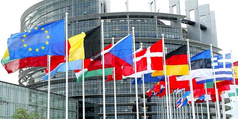 Οι Ευρωβουλευτές της Νέας Δημοκρατίας του Κυριάκου Μητσοτάκη – παρέα με τη “Φωνή της Λογικής” – επέλεξαν τη σιωπή αντί για την αλήθεια.
