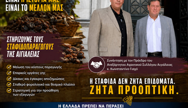 Κορινθιακή Σταφίδα: Η Αιγιάλεια χρειάζεται παραγωγικό μέλλον